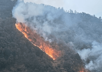हिमाचल के कसौली में एयरफोर्स स्टेशन के करीब तक फॉरेस्ट फायर, एयरफोर्स ने MI-17 और चिनूक हेलिकॉप्टर तैनात किए