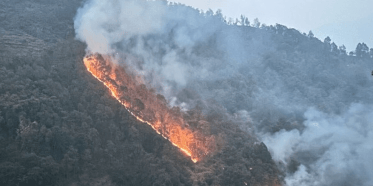हिमाचल के कसौली में एयरफोर्स स्टेशन के करीब तक फॉरेस्ट फायर, एयरफोर्स ने MI-17 और चिनूक हेलिकॉप्टर तैनात किए