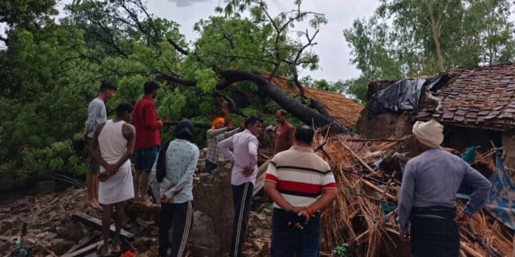कौशांबी में आंधी-बारिश का कहर, पेड़ और टीन गिरने से 4 लोगों की मौत