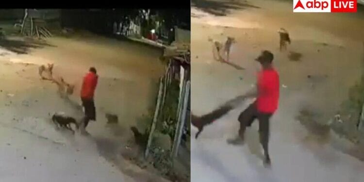 डरा हुआ है कुत्ता समाज… शख्स पर भौंकना पड़ा भारी, बदला ऐसा कि महीनों आएंगे चक्कर
