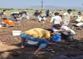 सरसों के तेल से भरा टैंकर हाइवे किनारे पलटा, बाल्टी-डिब्बे लेकर खेतों में कूद पड़े लोग
