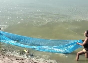 तालाब बना मौत का कुंड! भीषण गर्मी से हजारों मछलियों की मौत, बदबू और बीमारी के डर से सहमे लोग
