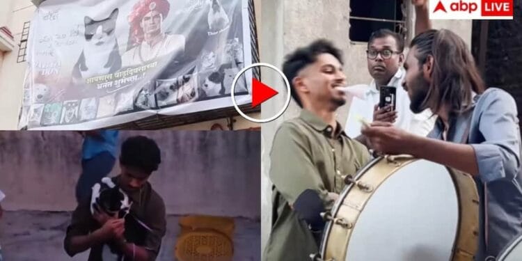 ‘त्योहार की तरह मनाया बर्थडे’ बिल्ली के लिए किए गए इंतजाम देख उड़े यूजर्स के होश