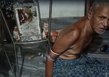 जहरीला सांप हाथ में लिपटा था, बुजुर्ग हिल भी नहीं सके… जिंदगी के सबसे खौफनाक 4 घंटों की कहानी