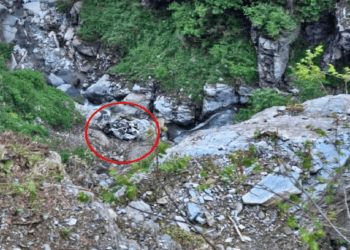 हिमाचल के चंबा में दर्दनाक हादसा, खाई में गिरी टैक्सी; चालक समेत 8 टूरिस्ट की मौत