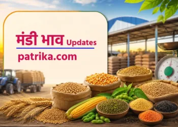 MP Mandi Rates Today: मानसून से पहले मंडियों में तेजी, खसखस, कलौंजी और लहसुन के भाव चौंकाने वाले