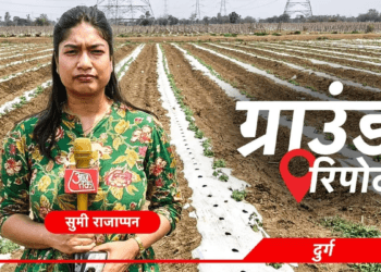 ग्राउंड रिपोर्ट: वैश्विक तनाव और मौसम की मार से टूटे छत्तीसगढ़ के किसान, मजबूरी में उखाड़ रहे अपनी ही फसलें