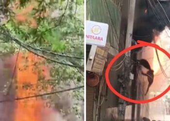 मालवीय नगर अग्निकांड: होटल-रेस्टोरेंट में ठहरे हुए थे विदेशी, कूद-कूद कर बचाई जान