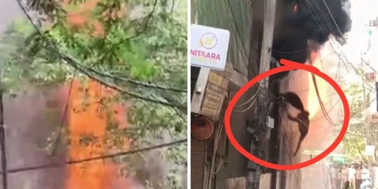 मालवीय नगर अग्निकांड: होटल-रेस्टोरेंट में ठहरे हुए थे विदेशी, कूद-कूद कर बचाई जान