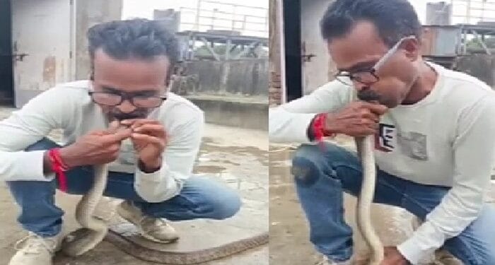 VIDEO: शख्स ने इंसान नहीं, जहरीले सांप को दी जिंदगी, मुंह से CPR देकर बचाई जान